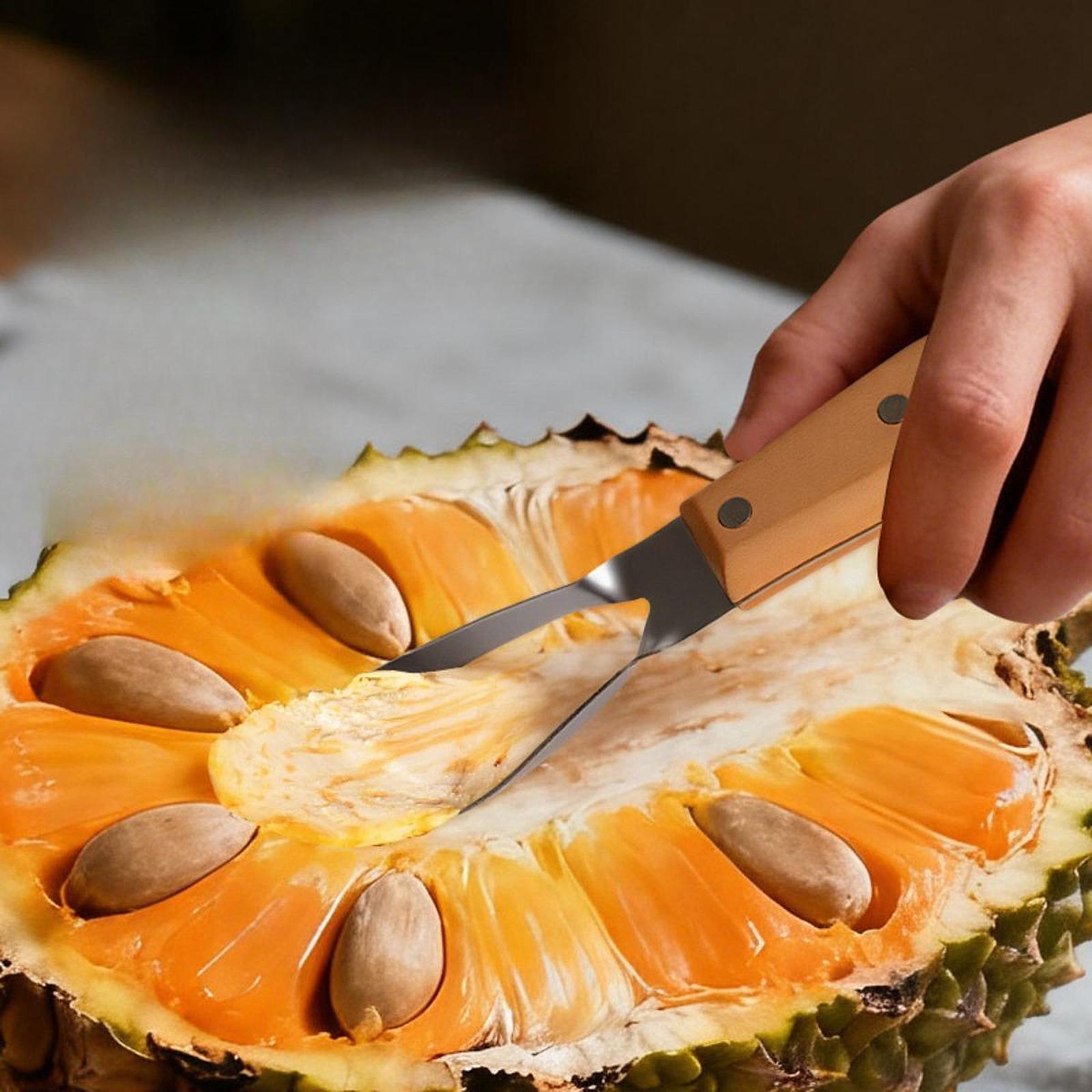Jackfruit Corer Remover,Portab - Kitchen Gadgets Store ulasan dan harga