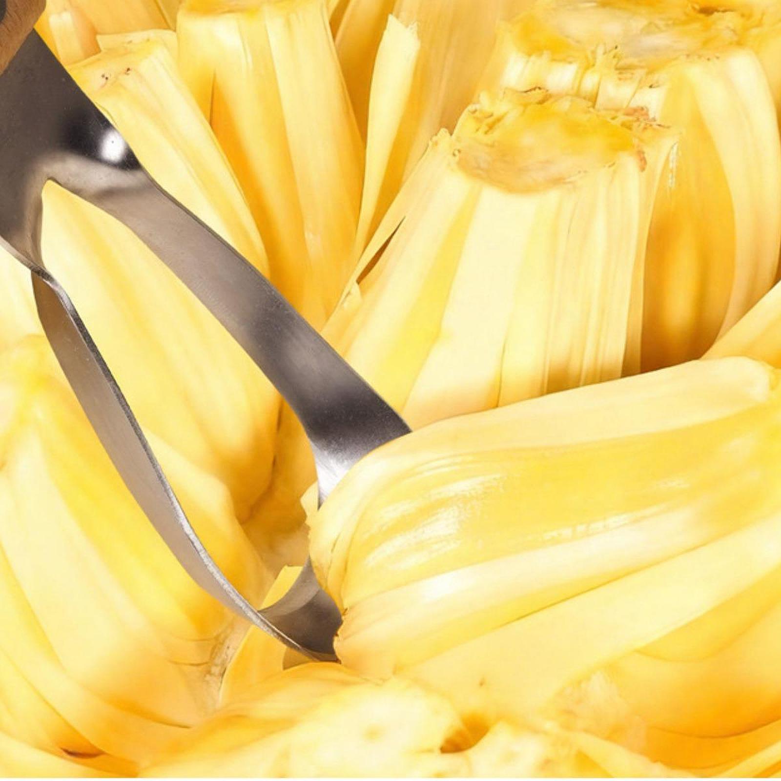 Jackfruit Corer Remover,Portab - Kitchen Gadgets Store ulasan dan harga