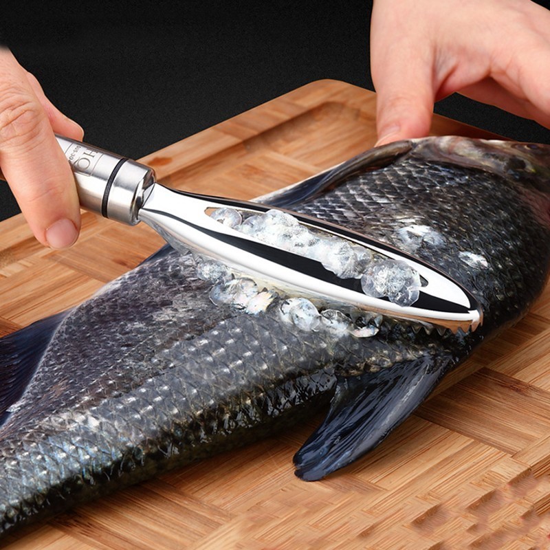 Stainless Fish Scales Scraping - Kitchen Gadgets For Seniors ulasan dan harga