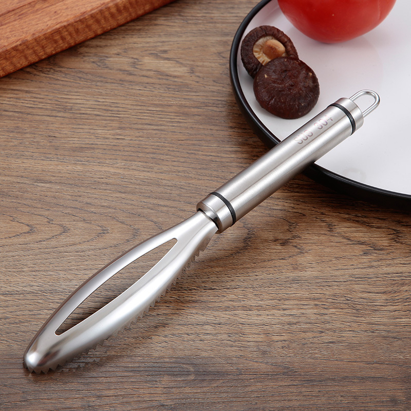 Stainless Fish Scales Scraping - Kitchen Gadgets For Seniors ulasan dan harga
